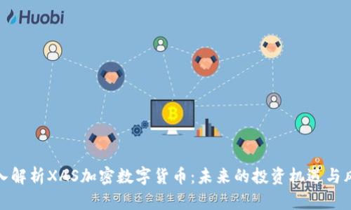 深入解析XAS加密数字货币：未来的投资机遇与风险