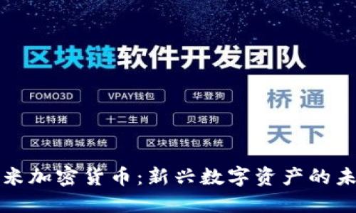 米粒小米加密货币：新兴数字资产的未来趋势