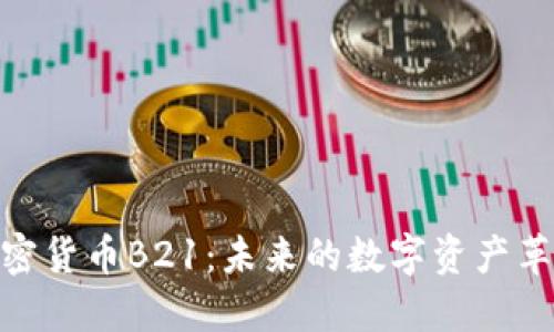 加密货币B21:未来的数字资产革命