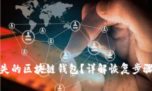 如何找回丢失的区块链钱包？详解恢复步骤与注意事项