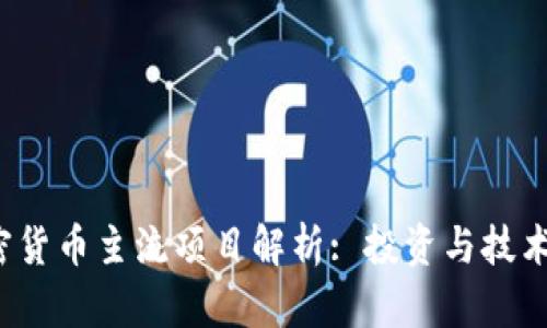 2023年加密货币主流项目解析: 投资与技术全方位分析