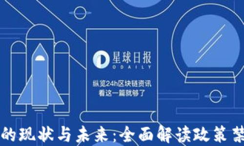 
国内加密货币的现状与未来：全面解读政策禁令及市场反应