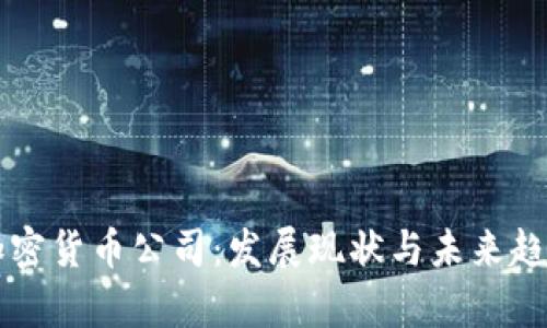 深圳加密货币公司：发展现状与未来趋势分析