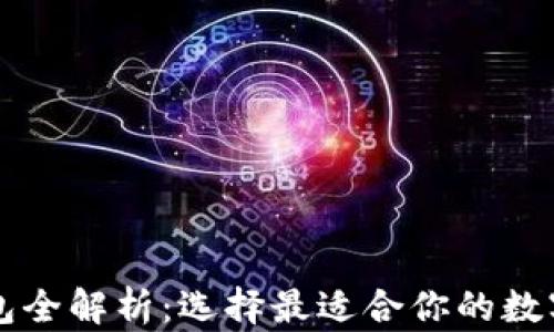 
中国区块链钱包全解析：选择最适合你的数字资产管理工具