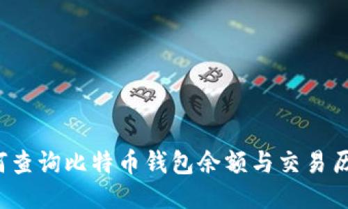 如何查询比特币钱包余额与交易历史？
