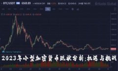 2023年小型加密货币现状分析：机遇与挑战