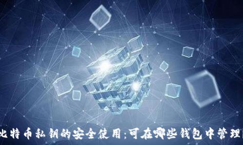   
比特币私钥的安全使用：可在哪些钱包中管理？
