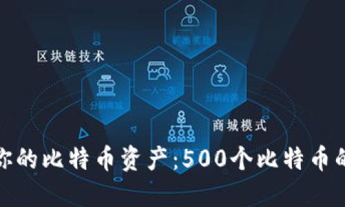 如何管理和增值你的比特币资产：500个比特币的投资与风险策略