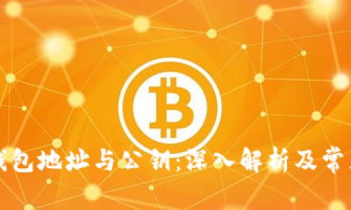 比特币的钱包地址与公钥：深入解析及常见问题解答