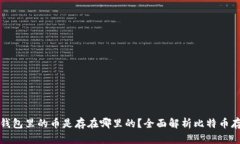 比特币钱包里的币是存在哪里的？全面解析比特
