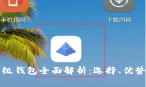比特币轻量级钱包全面解析：选择、优势与使用技巧