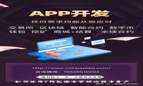 如何使用P钱包安全管理比特币资产