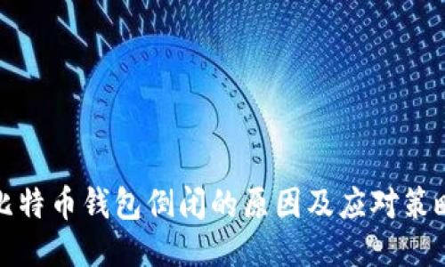 比特币钱包倒闭的原因及应对策略