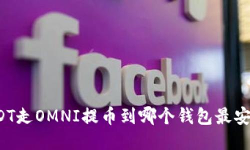 USDT走OMNI提币到哪个钱包最安全？