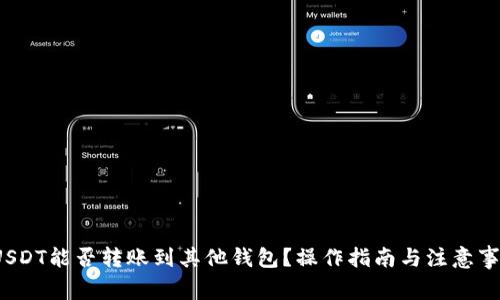  USDT能否转账到其他钱包？操作指南与注意事项