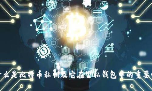 什么是比特币私钥及它在公私钱包中的重要性