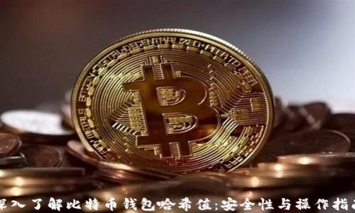 
深入了解比特币钱包哈希值：安全性与操作指南
