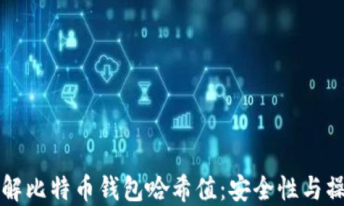 
深入了解比特币钱包哈希值：安全性与操作指南
