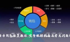 比特币钱包恢复教程：完整视频指南与常见问题