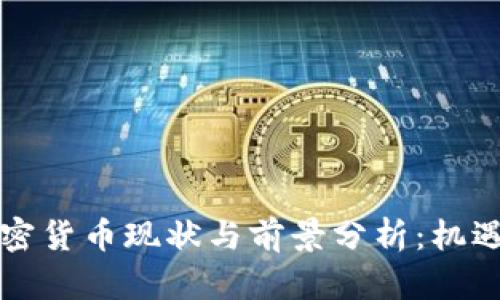 南非加密货币现状与前景分析：机遇与挑战