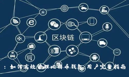 : 如何高效管理比特币钱包：用户完整指南