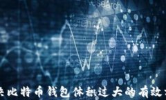 解决比特币钱包体积过大的有效方法