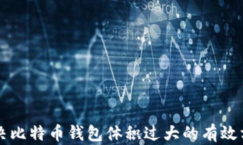 
解决比特币钱包体积过大的有效方法
