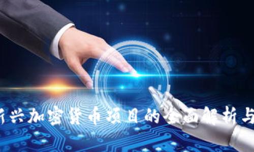 2023年新兴加密货币项目的全面解析与投资指南