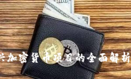 2023年新兴加密货币项目的全面解析与投资指南