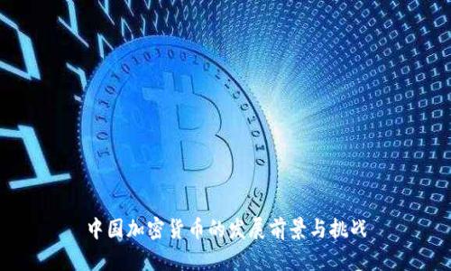 中国加密货币的发展前景与挑战