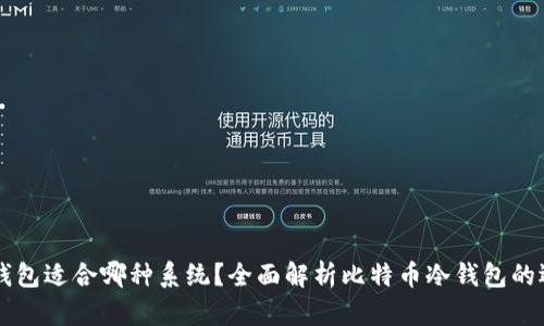 比特币冷钱包适合哪种系统？全面解析比特币冷钱包的选择与使用