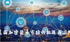 挑战美国加密货币市场的机遇与应对策略