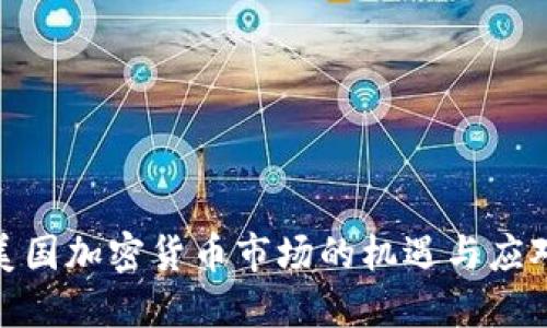 挑战美国加密货币市场的机遇与应对策略