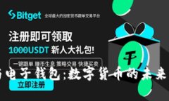 解密比特币与电子钱包：数字货币的未来与安全