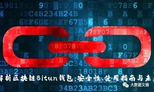 深入解析区块链Bitun钱包：安全性、使用指南与未来展望