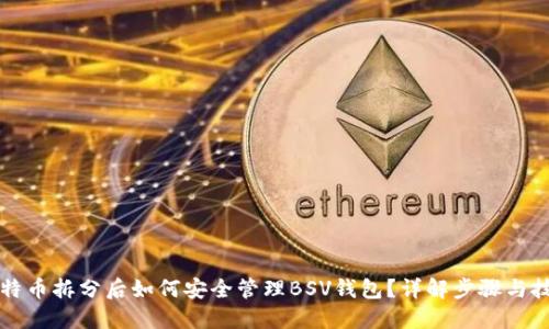 比特币拆分后如何安全管理BSV钱包？详解步骤与技巧