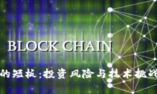 加密货币的短板：投资风险与技术挑战深度解析