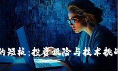 加密货币的短板：投资风险与技术挑战深度解析