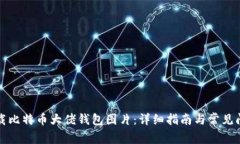 如何下载比特币大佬钱包图片：详细指南与常见