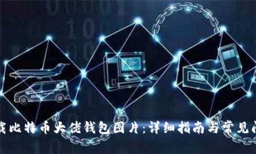 如何下载比特币大佬钱包图片：详细指南与常见问题解答