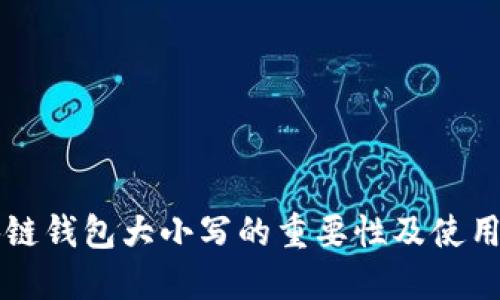 区块链钱包大小写的重要性及使用指南