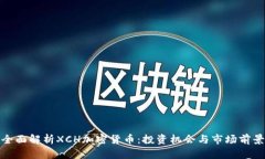 全面解析XCH加密货币：投资机会与市场前景