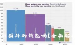 USDT可以转到国外的钱包吗？全面解析与实操指南