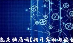 比特币钱包是骗局吗？揭开真相与安全使用指南