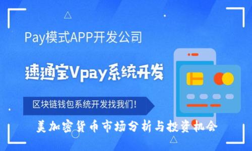 美加密货币市场分析与投资机会