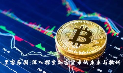 黑客乐园：深入探索加密货币的未来与挑战