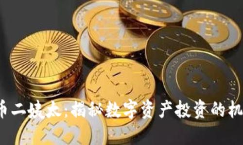  加密货币二姨太：揭秘数字资产投资的机遇与挑战