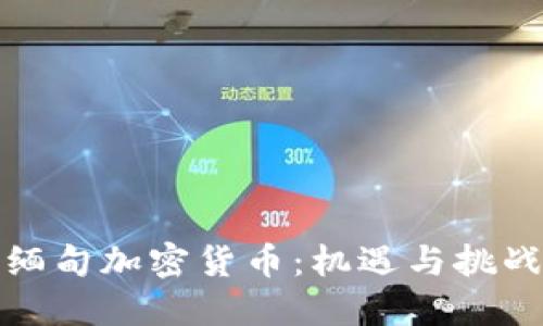 缅甸加密货币：机遇与挑战