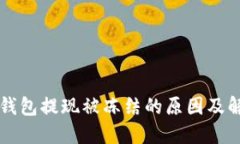 虚拟币钱包提现被冻结的原因及解决方案
