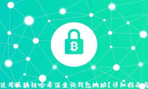 
如何使用区块链哈希值查询钱包地址？详细指南与技巧